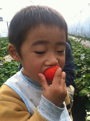 2012年Album_a0233896_16453519.jpg