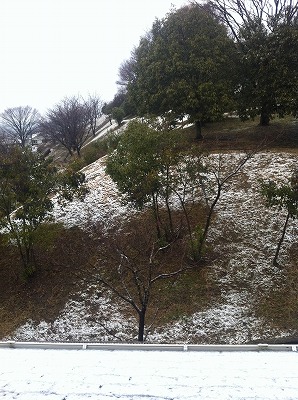 2012年Album_a0233896_16461977.jpg