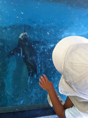 2012年Album_a0233896_17201053.jpg