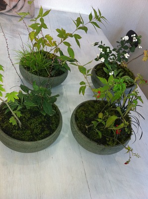 2012年Album_a0233896_17345455.jpg