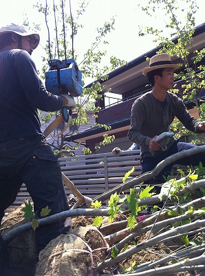 2012年Album_a0233896_1735146.jpg