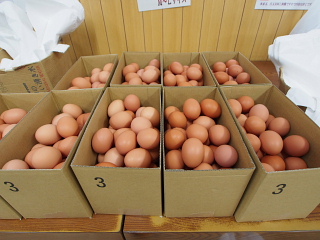 c0039501_134401.jpg