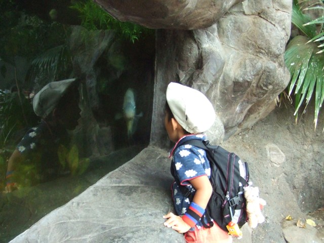 c0062603_15352543.jpg