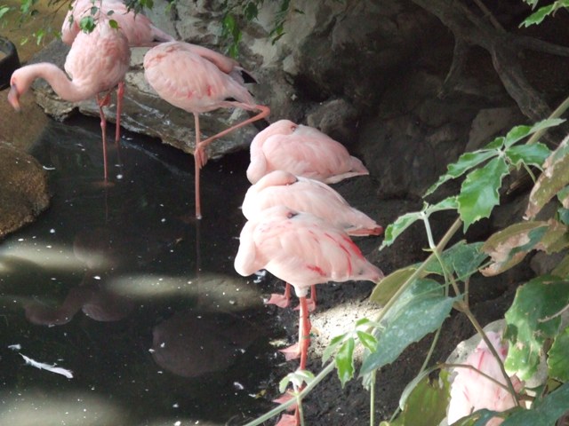 c0062603_15361922.jpg