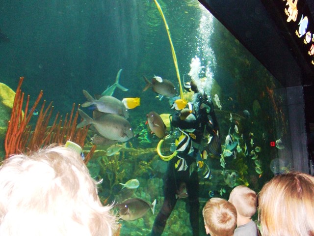 c0062603_15364396.jpg