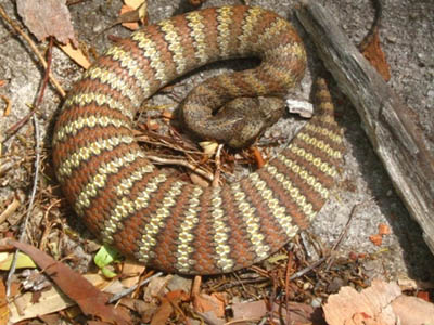 c0165803_17424357.jpg