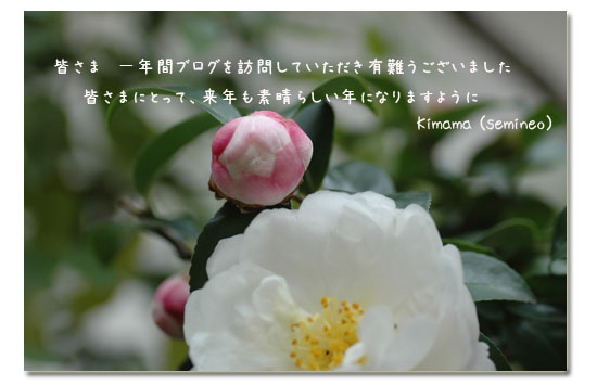 有難うございました_c0051105_1392272.jpg