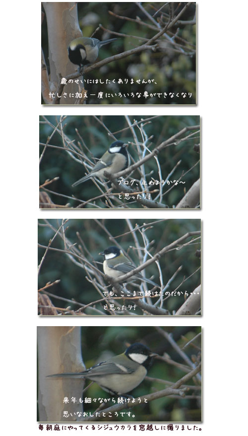 有難うございました_c0051105_1521175.jpg