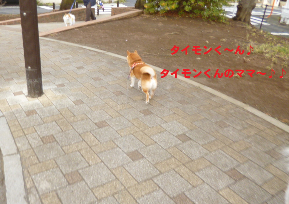 e0131506_1043828.jpg