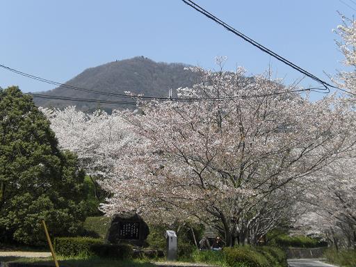 桜を探して二上山麓を歩く_d0288411_23565839.jpg