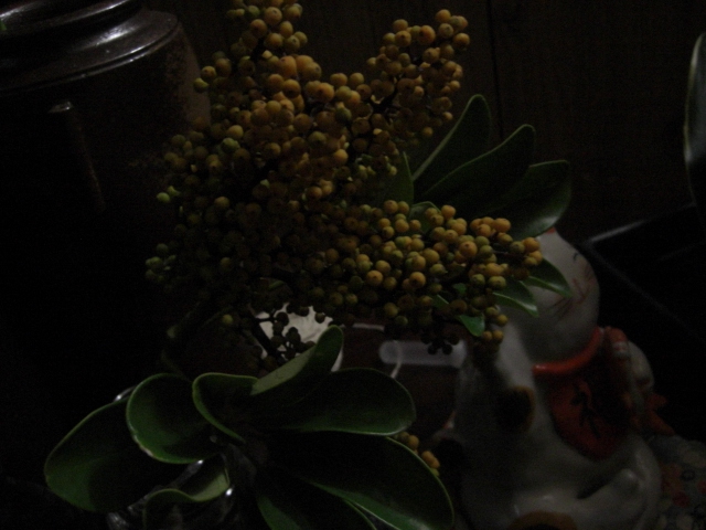 f0226713_1182040.jpg
