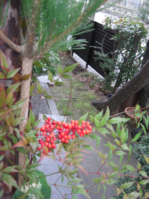 おすすめ門松_f0226713_14202057.jpg