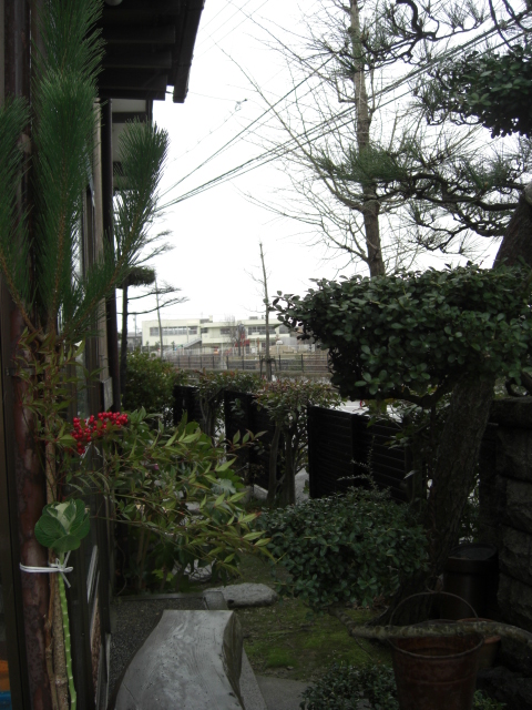 おすすめ門松_f0226713_1420764.jpg