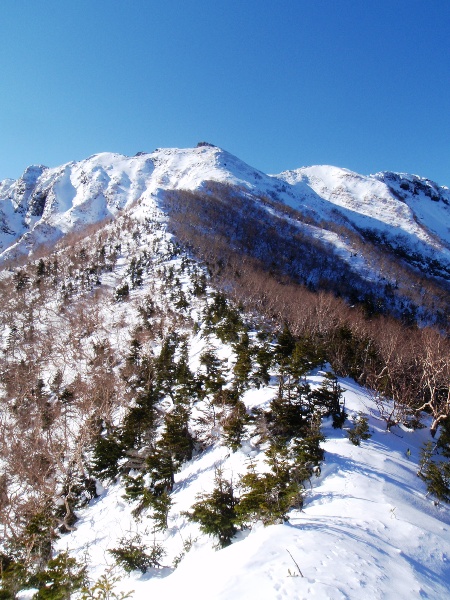 c0177814_0241823.jpg