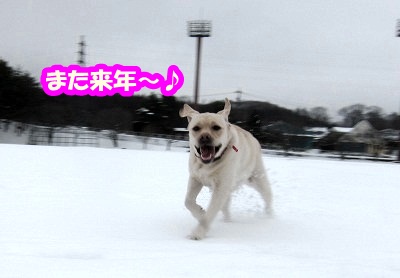 良いお年を~♪_e0192217_101264.jpg