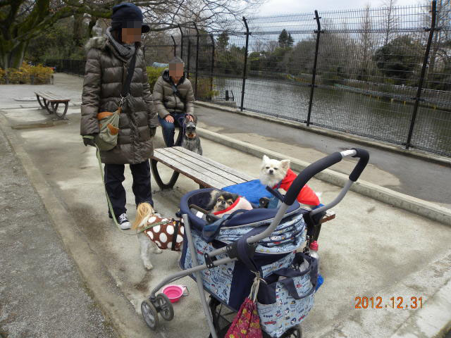 b0203018_16185833.jpg