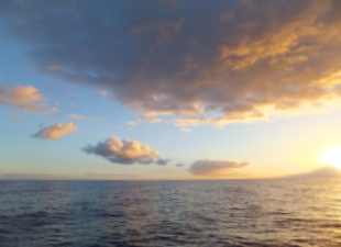 f0227218_22215863.png