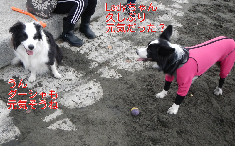 a0232619_16272910.jpg