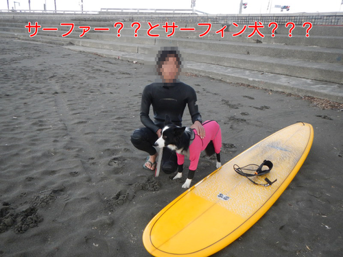 a0232619_16355677.png