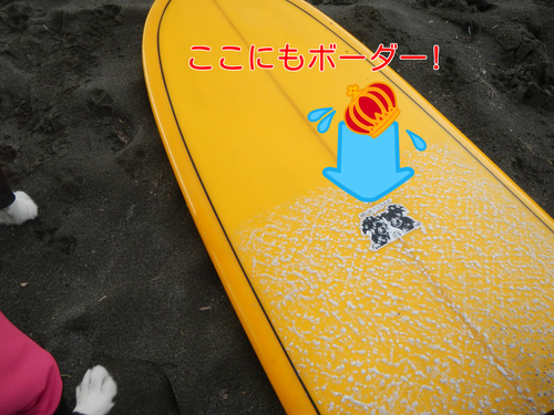 a0232619_16362830.png