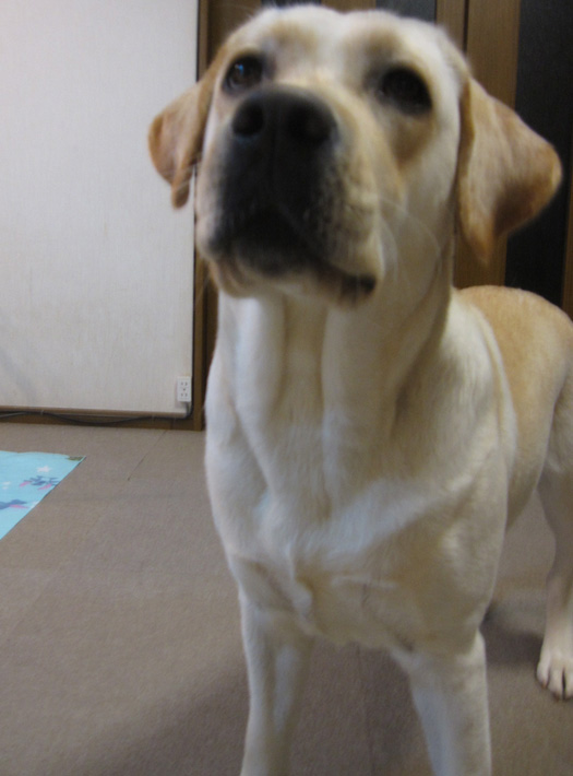 e0244621_06349.jpg