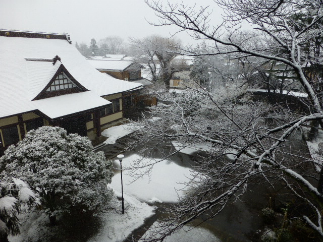 謹賀新年_d0081723_10532381.jpg