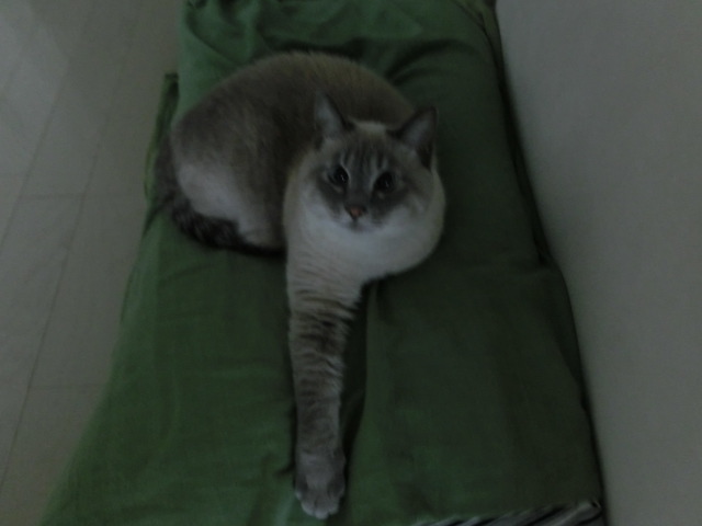 嬉しい締めくくり!!_c0006826_6572992.jpg