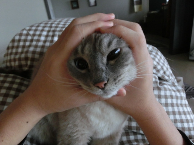 嬉しい締めくくり!!_c0006826_722197.jpg