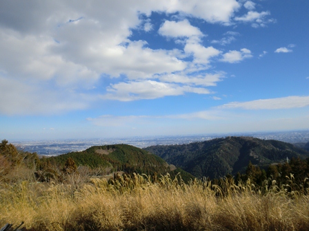 d0130927_835411.jpg