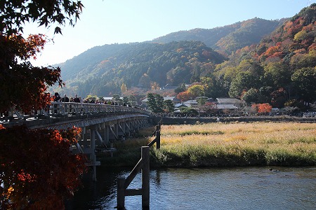 紅葉偵察　その５♪_f0054428_1414072.jpg