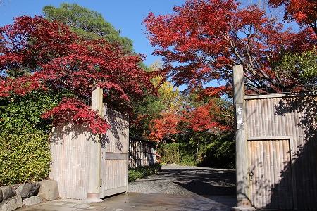 f0054428_146096.jpg