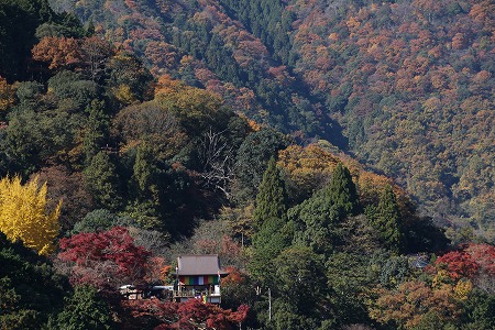 紅葉偵察　その５♪_f0054428_1561372.jpg