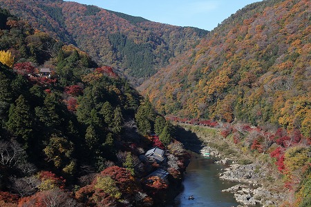 紅葉偵察　その５♪_f0054428_159118.jpg