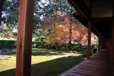 f0054428_2414099.jpg