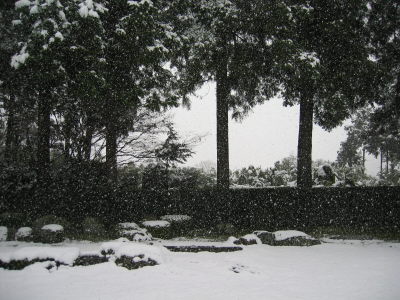 f0054428_2462823.jpg