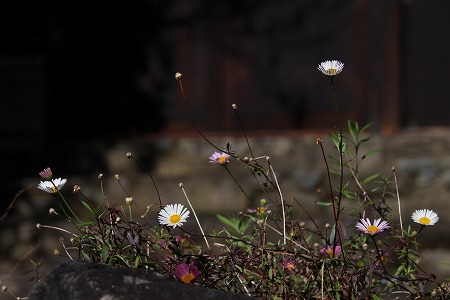 f0054428_261296.jpg