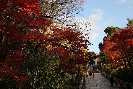 紅葉偵察　その５♪_f0054428_310472.jpg