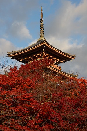f0054428_3122264.jpg