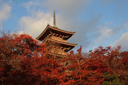 f0054428_3131390.jpg