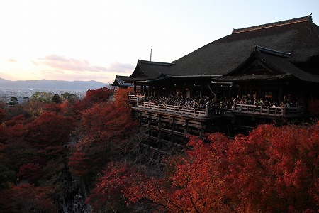 紅葉偵察　その５♪_f0054428_3173837.jpg