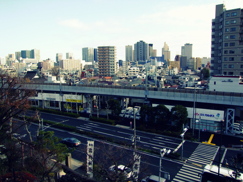 「東京十社巡り 本年もありがとうございました!」_a0000029_13335625.jpg