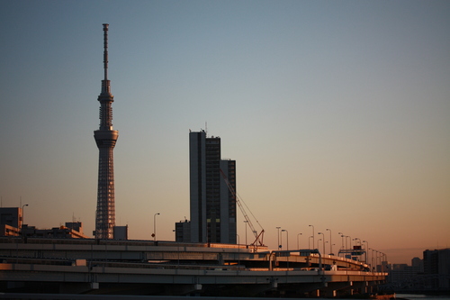 暮れ残る