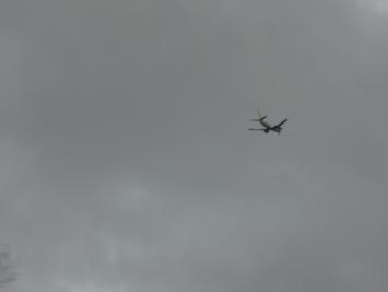b0199830_1274221.jpg