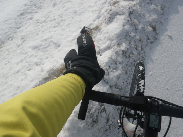e0026331_11145825.jpg