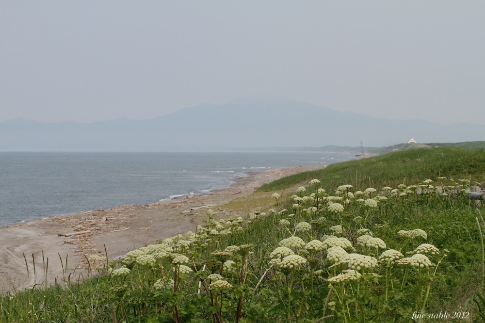 c0240132_7193139.jpg