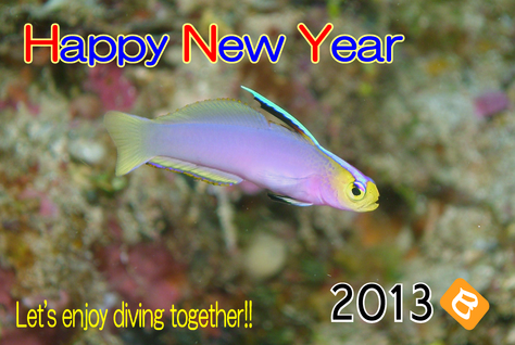 1月1日Happy New Year!!_c0070933_21532430.jpg