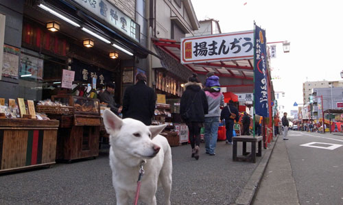 来年もよろしくね～_a0117039_1954111.jpg