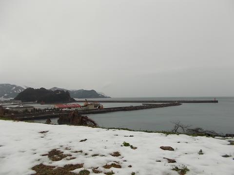 a0124543_17482781.jpg