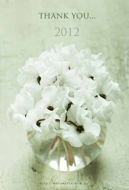 thank you... 2012_d0124248_1701626.jpg