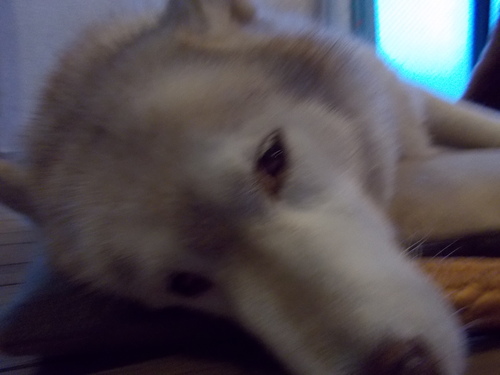 e0121548_10233077.jpg